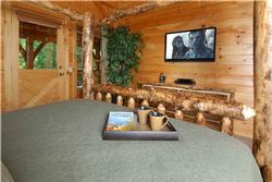 Sevierville Cabin/Chalet